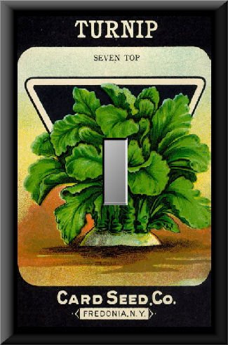 Vintage Turnip Vegetable Seed Packet Single Switch Plate