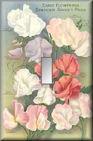 Flowering Sweetpeas Vintage Flower Seed Packet Switch Plate
