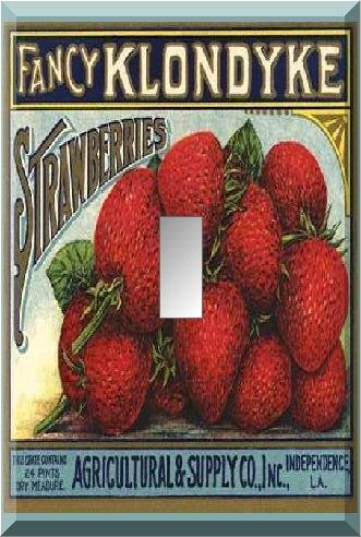 Fancy Strawberries Vintage Crate Lable Single Switch Plate