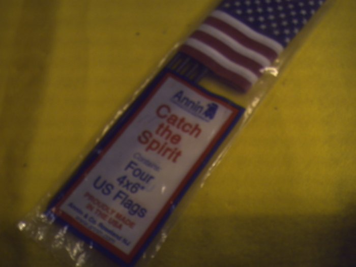1pk 4 ea. US Flags.4 X 6" (002)