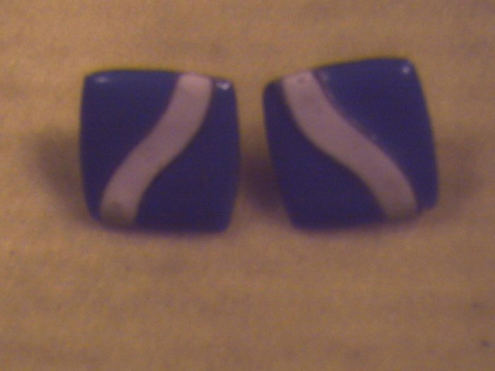 Silver Pierced Earrings (013)