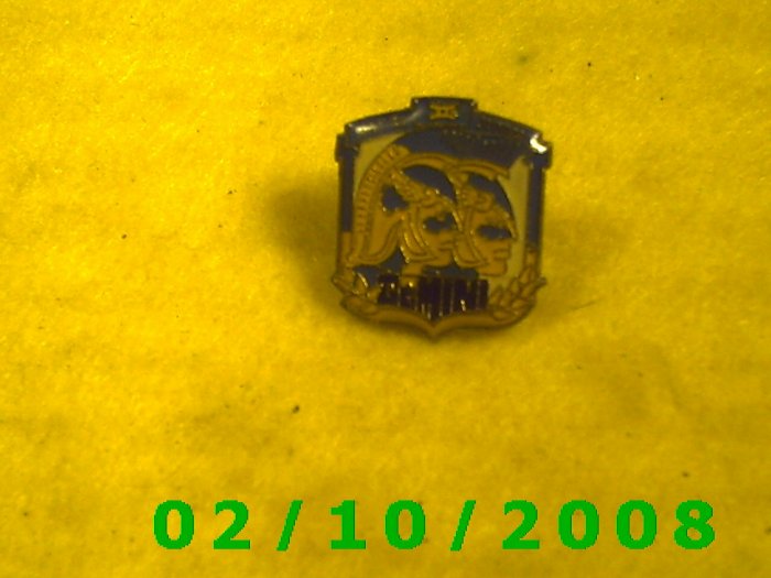 Gemini Hat Pin