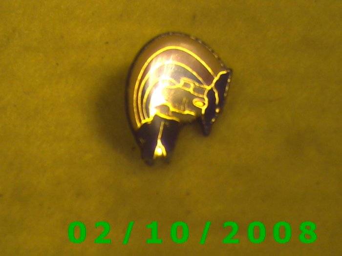 Car? Hat Pin