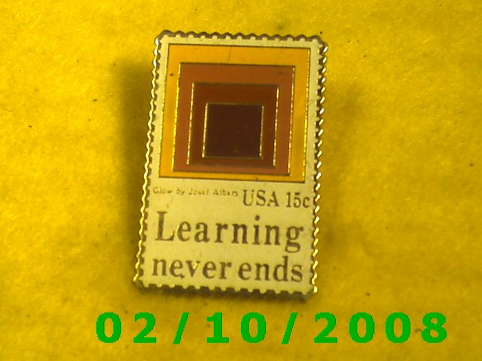 Learning Never Ends Hat Pin