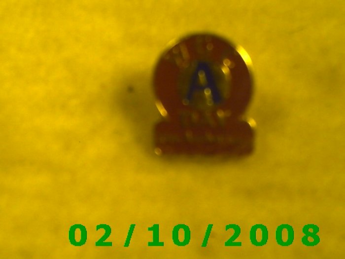 WGC A Day 10th Anniversary Hat Pin