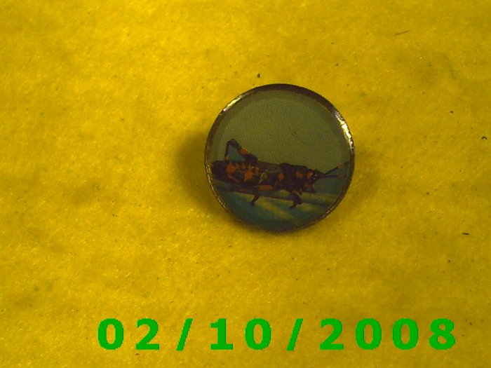 Grasshopper Hat Pin