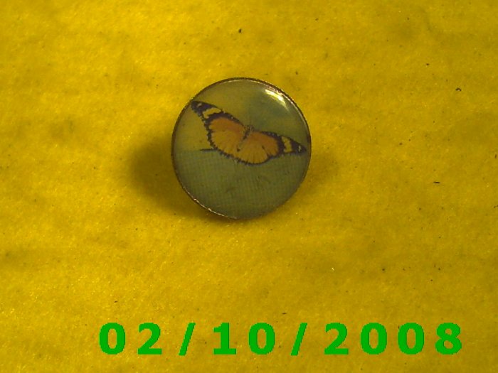 Butterfly Hat Pin