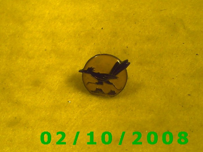 Road Runner Hat Pin