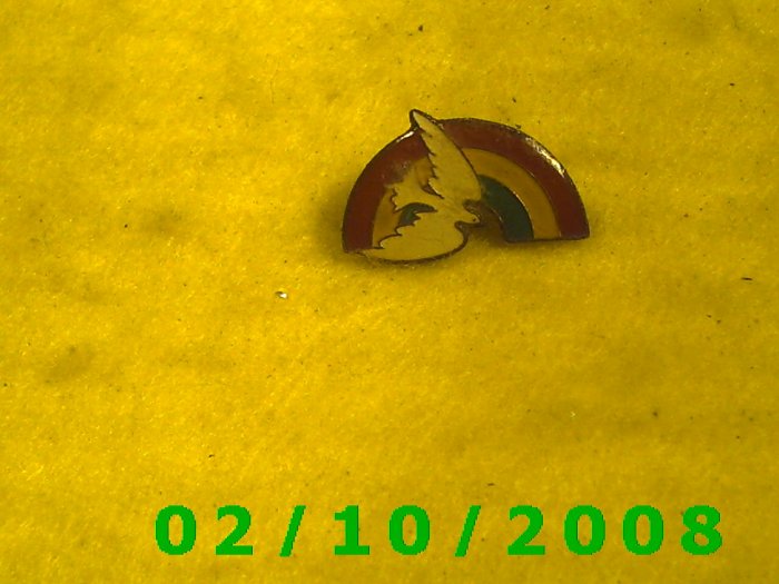 A Dove and Rainbow Hat Pin
