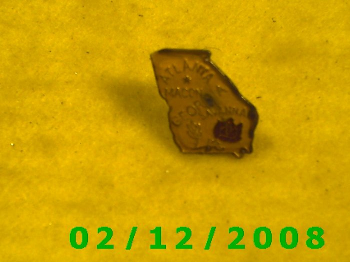 Georgia Hat Pin