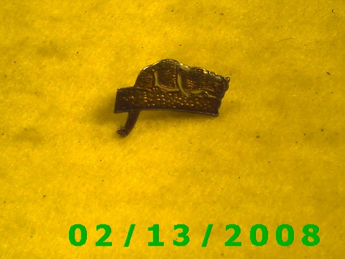 Mountain Lion Hat Pin