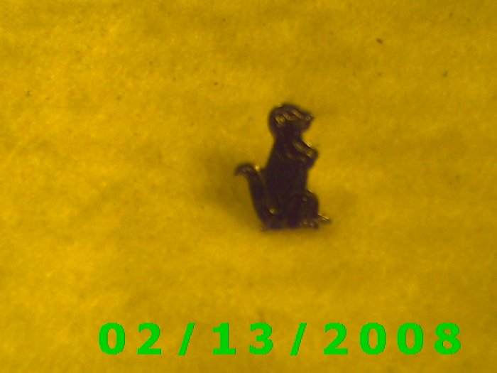 SquirelHat Pin