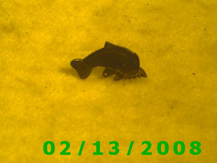 Fish Hat Pin