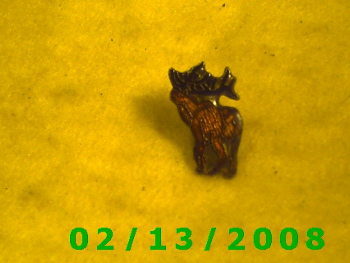 Moose Hat Pin