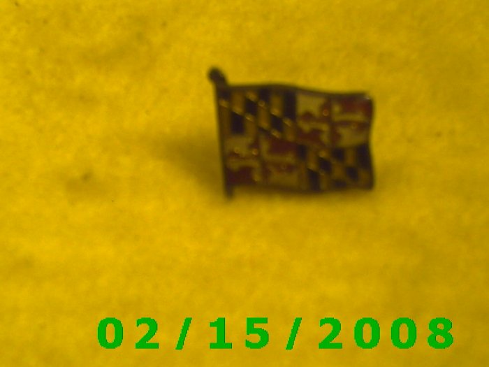 Flag Hat Pin