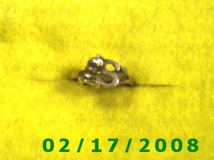 Ring Solid Gold, 10kt w/S, + tweety bird size 7 (F006)