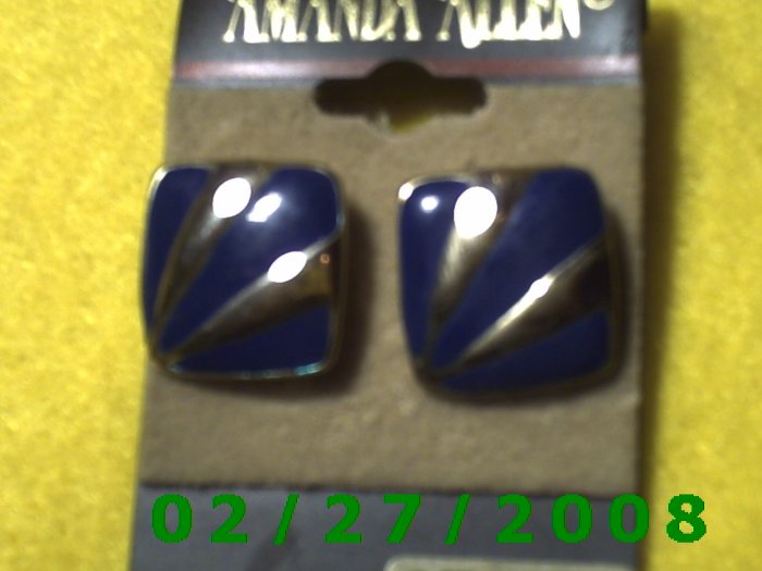 Earrings, Amanda Allen Surgical Steel Posts (012)