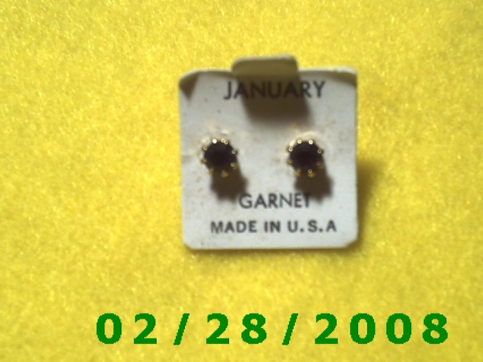 Earrings, Pierced Birthstone January USA.