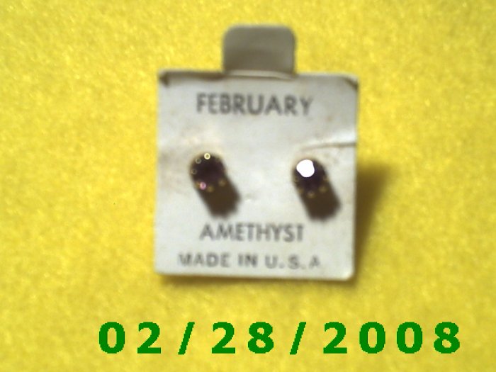 Earrings, Pierced Birthstone February USA.