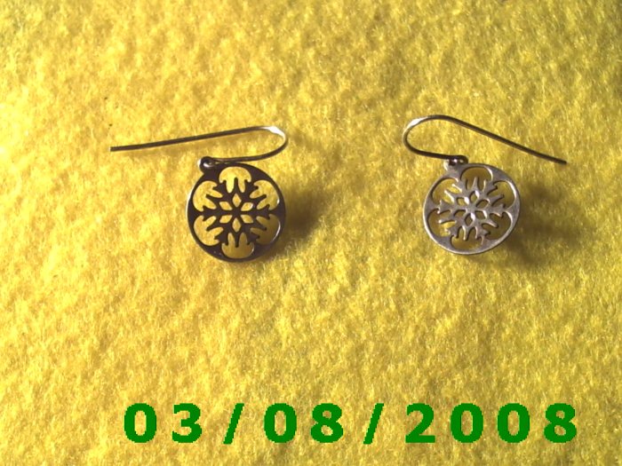 Silver Earrings Pierced (049)