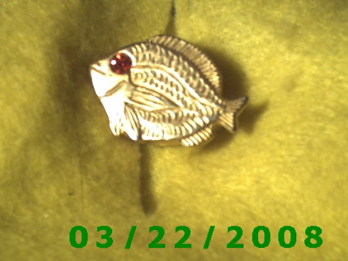 7/8 x 1 1/4" Gold Button Cover (Fish) Ruby Stone (R007)