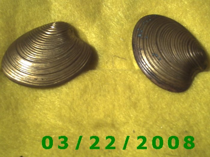 1 3/8 x 1 7/16" Gold Button Cover (Clam (R009)
