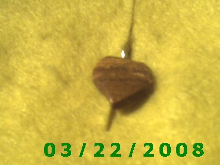 3/4" Stone Heart Charm (R015)
