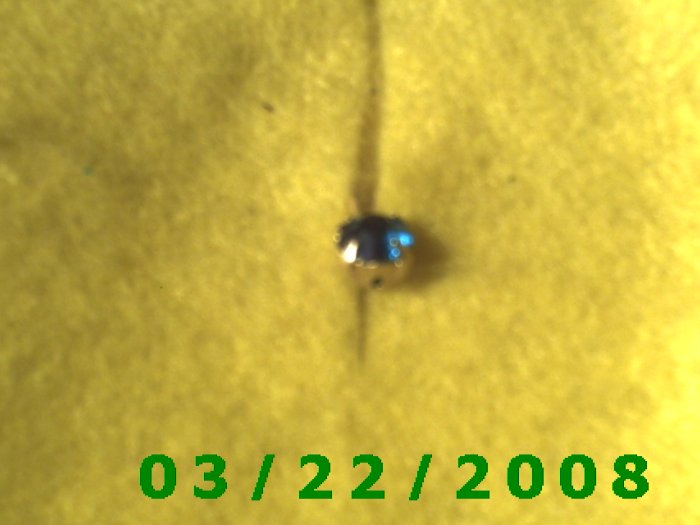 1/4" Gold w/Emerald Stone Charm (R020)