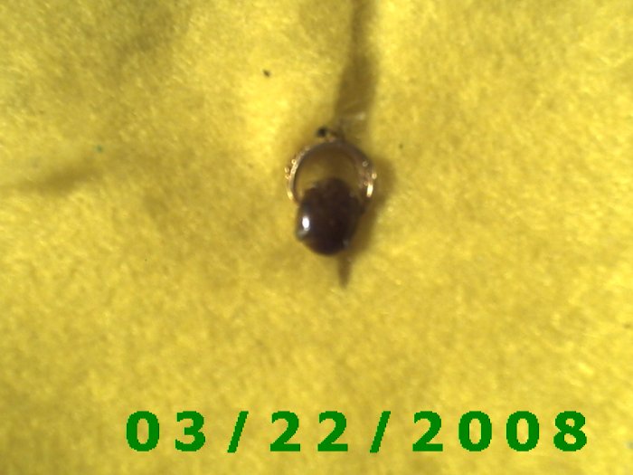 Gold Charm w/Brown Stone (R026)