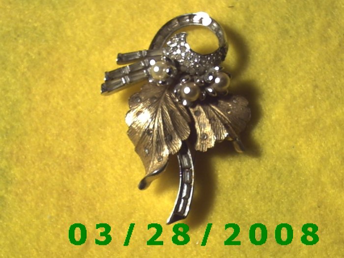 Very nice Brooche (009)