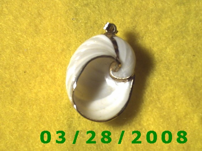 Shell Charm Finished in Gold (019)