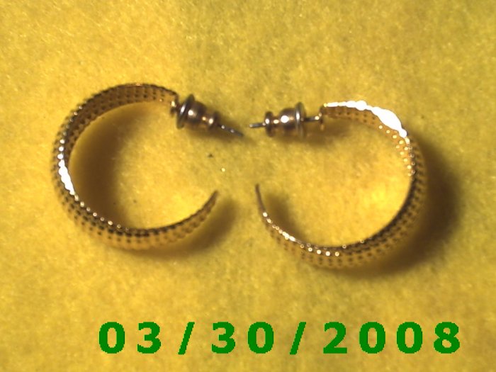 Gold Hoop Pierced Earrings (022)