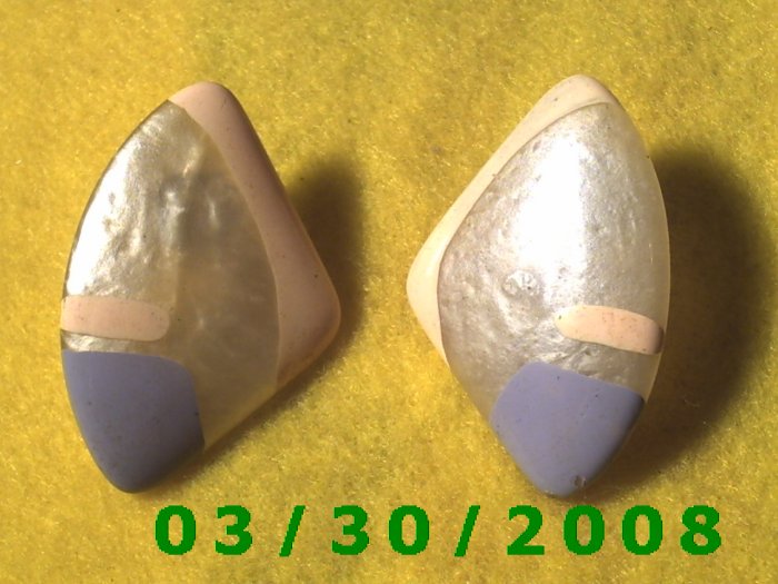 Painted Shell Pierced Earrings (032)
