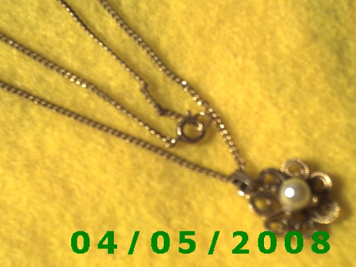 Gold Necklace w/Pendant E5023