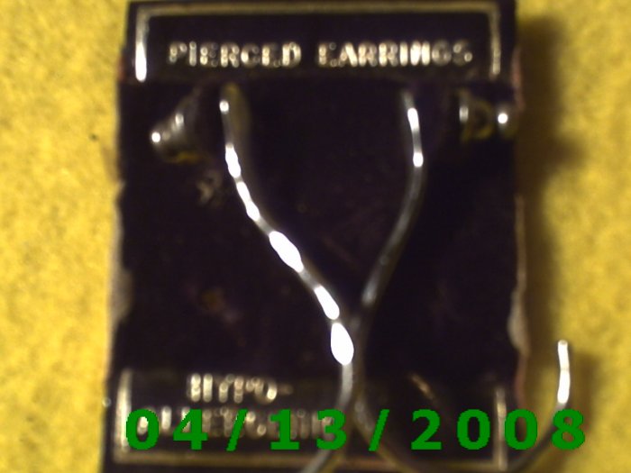 Silver Pierced Earrings Q2017