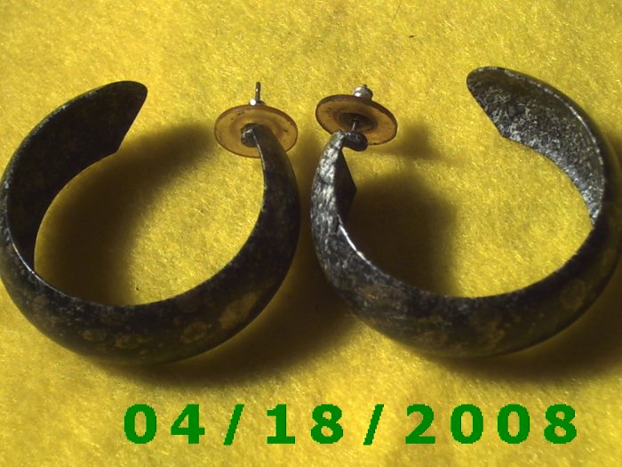 Printed Hoop Pierced Earrings Q3041
