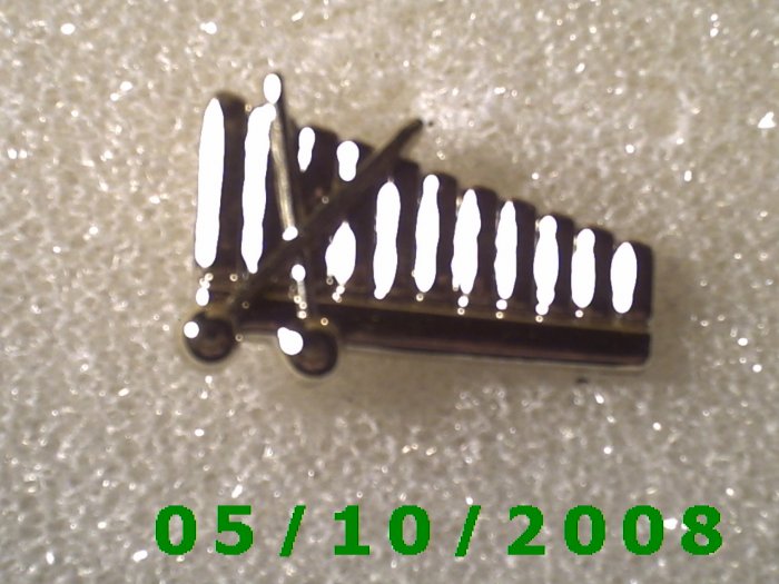 Xylophone Pin(118)