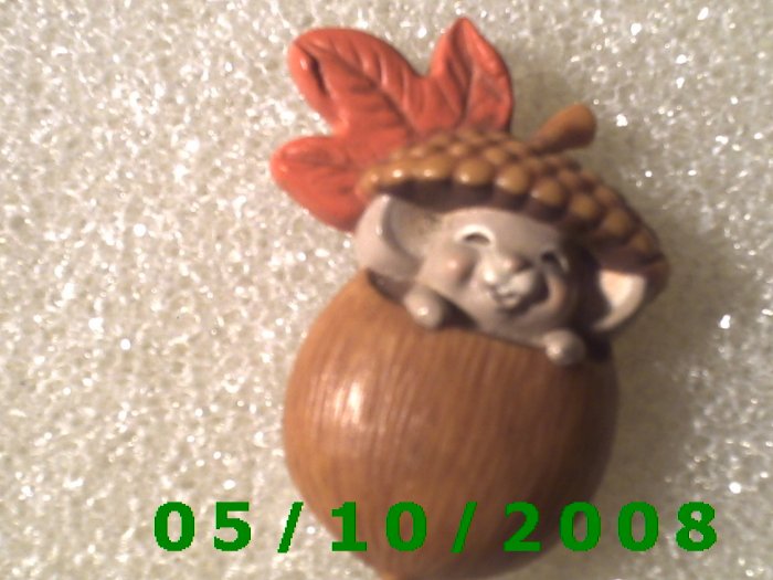 Baby In Acorn Pin (114)