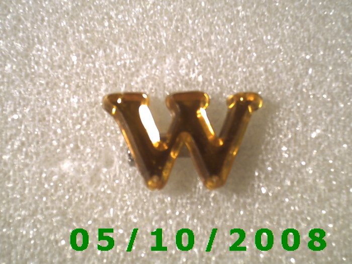 Plastic Letter "W" Pin (109)