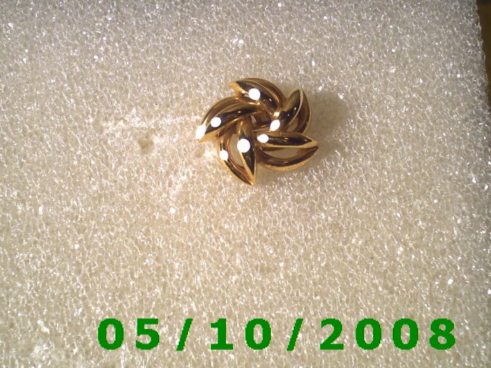 Gold What Not Pin (104)