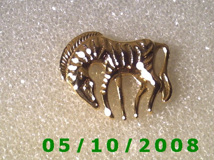 Gold Zebra Pin