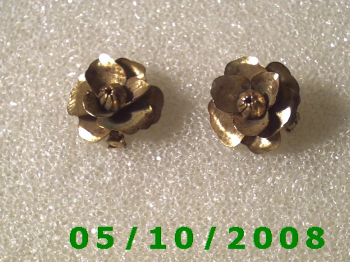 1pr Brass Roses Pin
