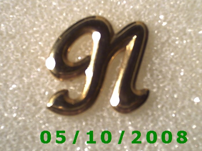 Gold Letter N Pin