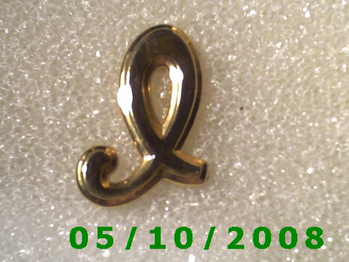 Gold Letter L Pin
