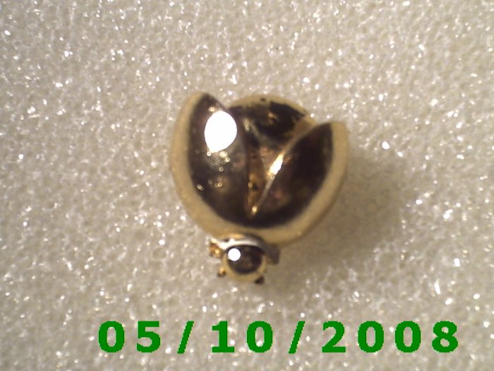 Lady Bug Pin