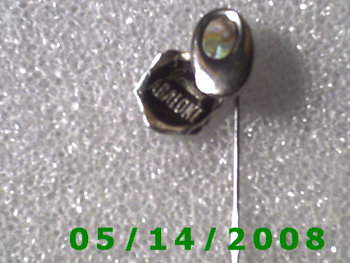 Silver Genuine Abaloni Stick Pin........ B055