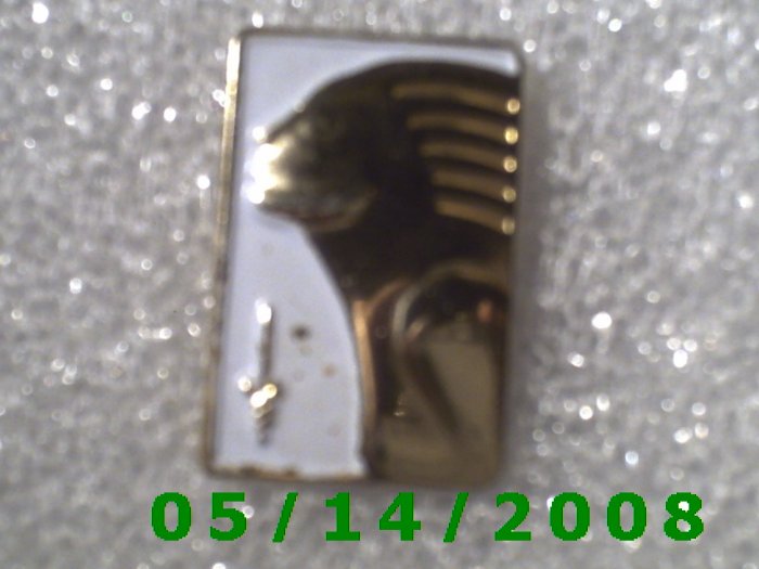 Gold n White Woman Pin B047