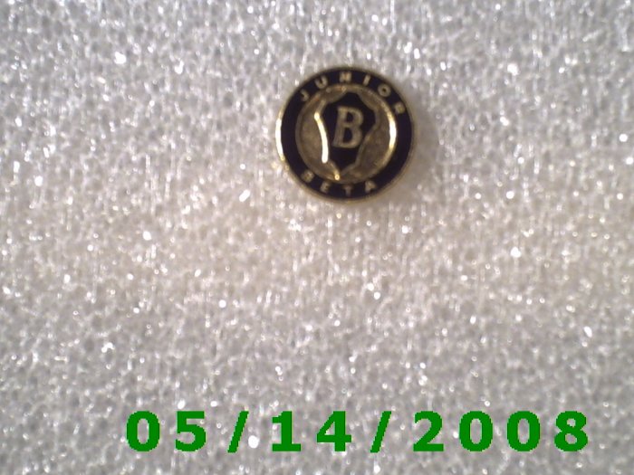 Gold n Black B Junior Beta Pin BB004