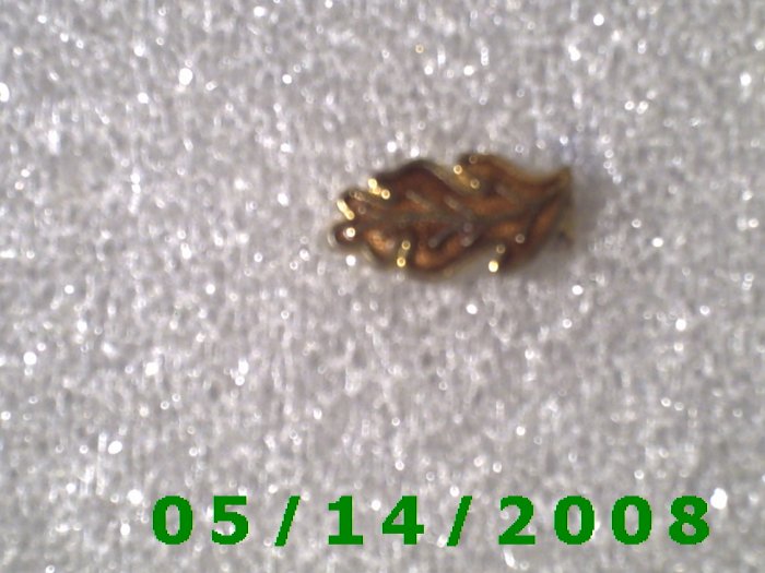 Gold n Brown Leaf Pin B043