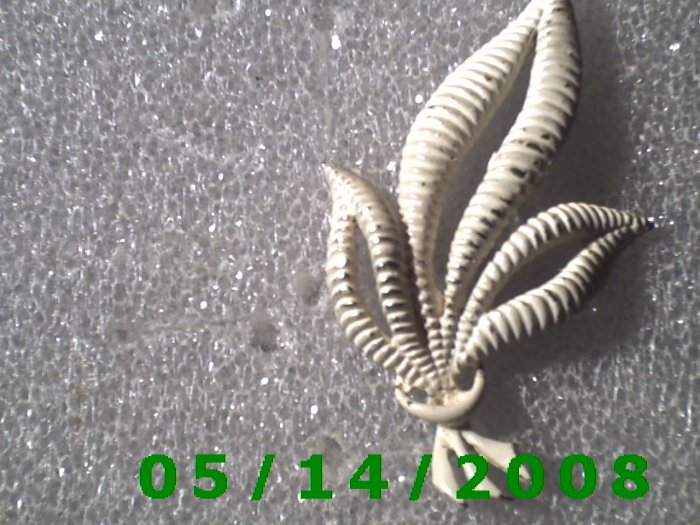 White Plant Pin B031